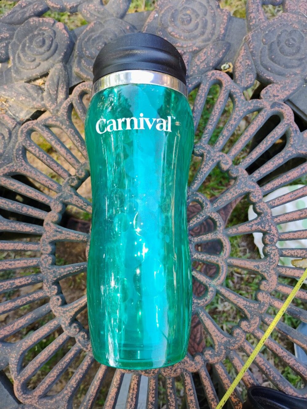 Carnival Cruise tumbler 2017